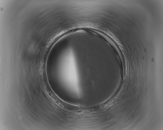 X0000086080434200703231408