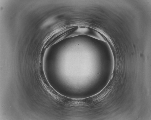 X0000086080437200703231409