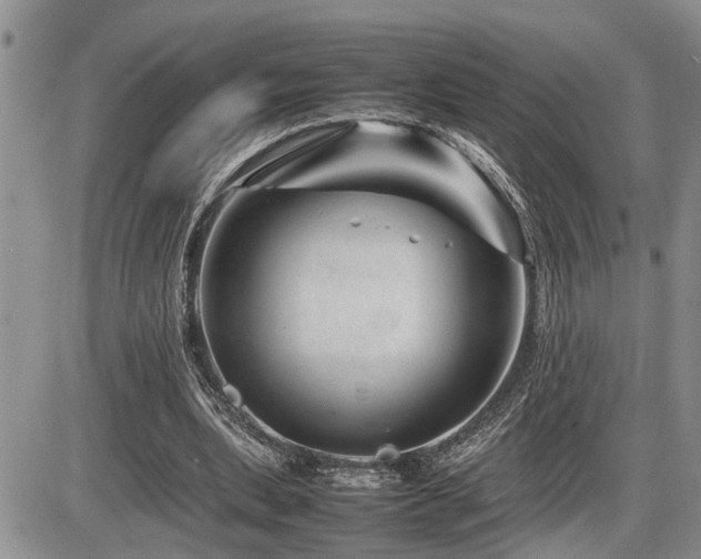 X0000086080439200703231409