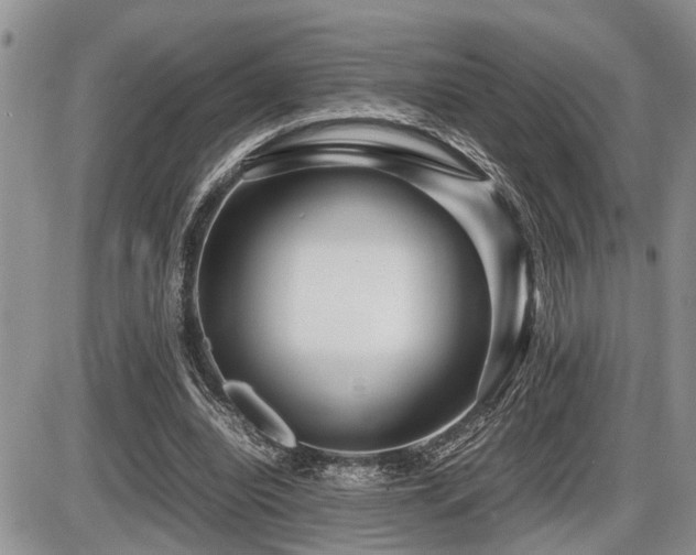 X0000086080440200703231409