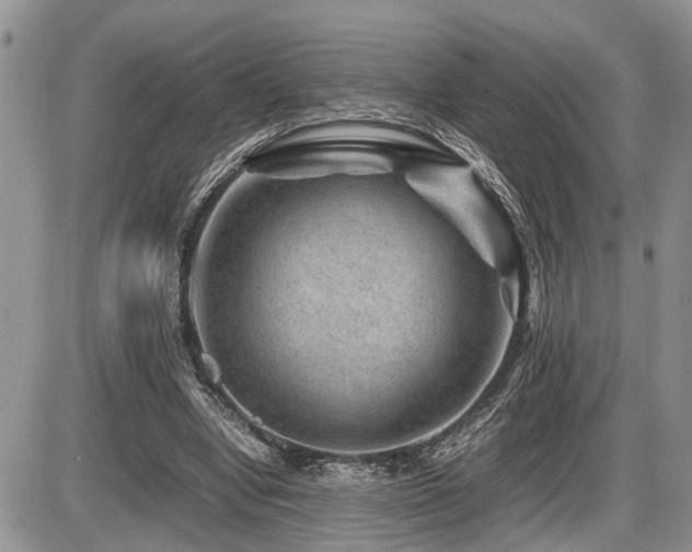 X0000086080442200703231409