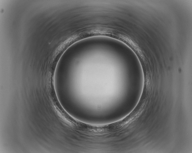 X0000086080445200703231409