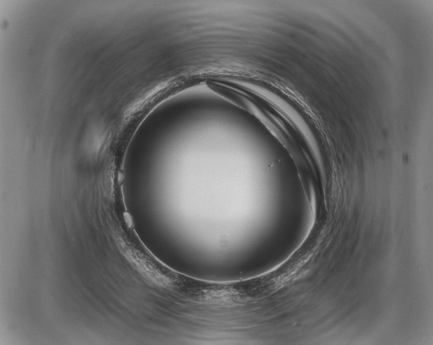 X0000086080446200703231409