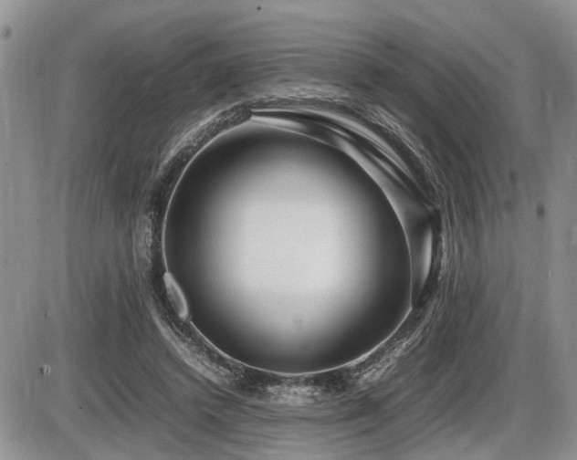 X0000086080448200703231409