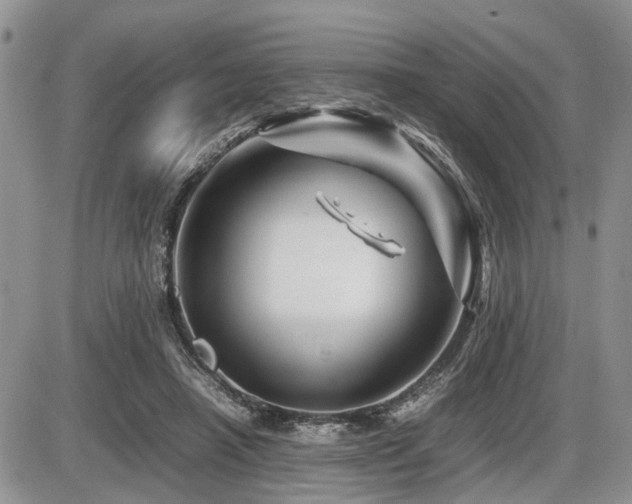 X0000086080450200703231409