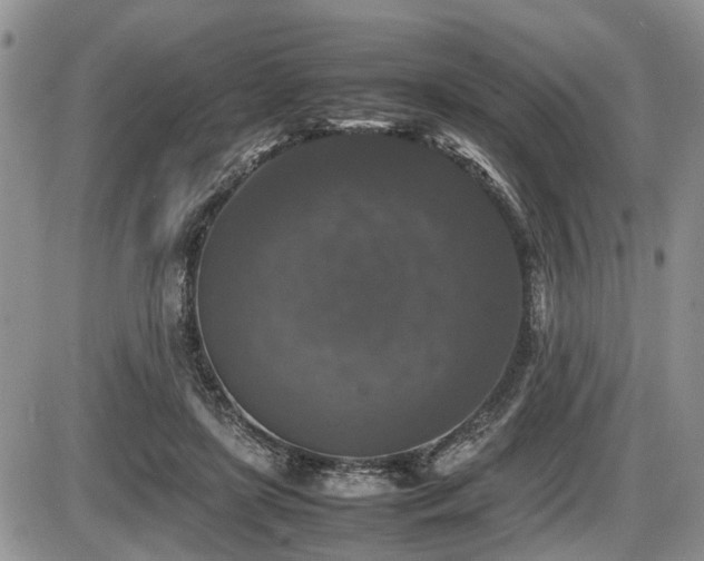 X0000086080451200703231409