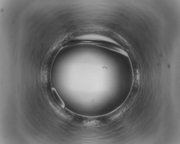 X0000086080452200703231409