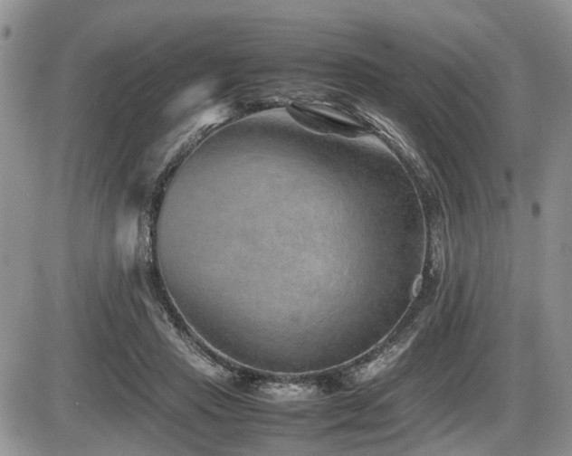 X0000086080453200703231409