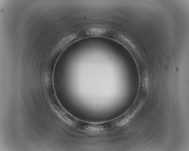 X0000086080455200703231409