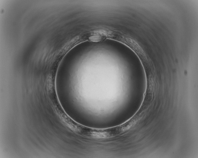 X0000086080457200703231409