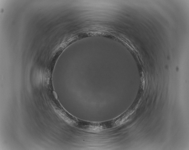 X0000086080458200703231409