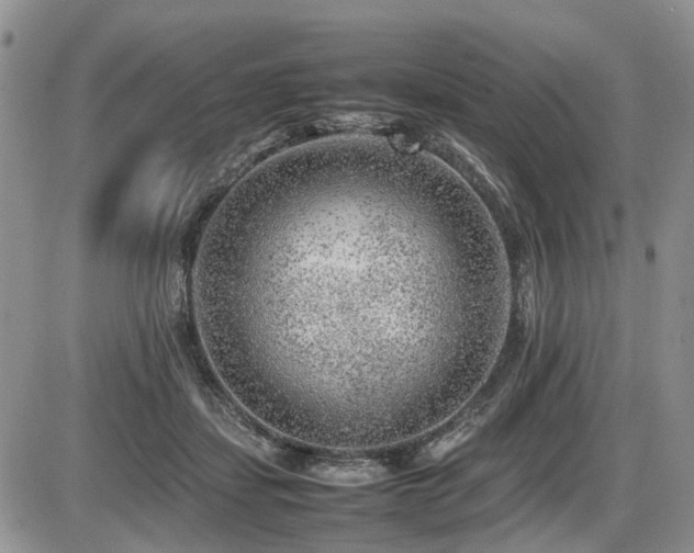 X0000086080459200703231409