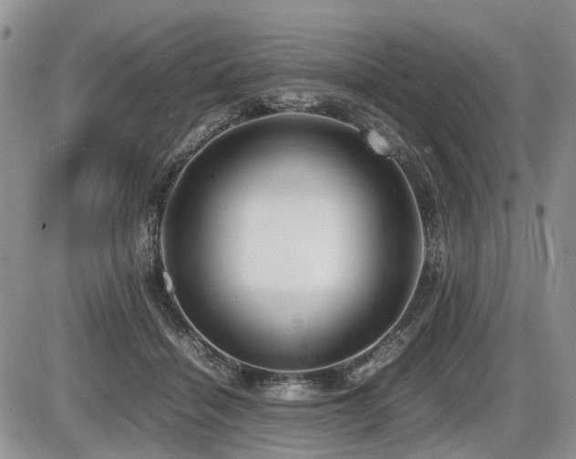 X0000086080460200703231409