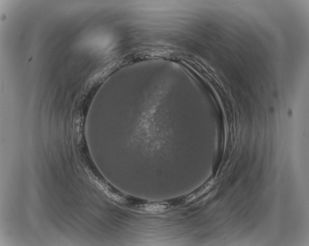 X0000086080462200703231409