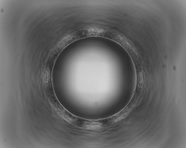 X0000086080463200703231409