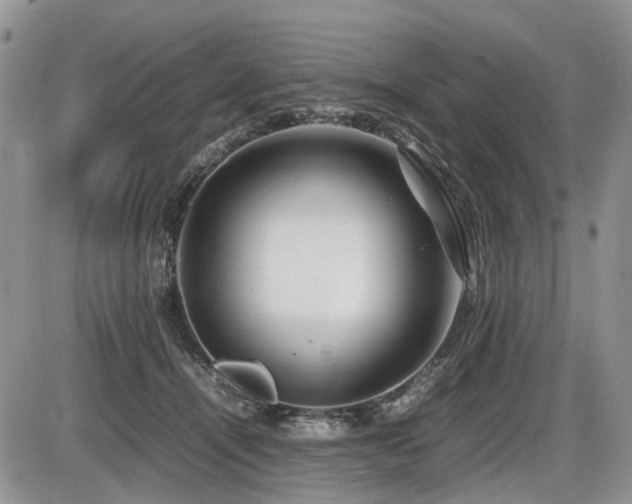 X0000086080464200703231409