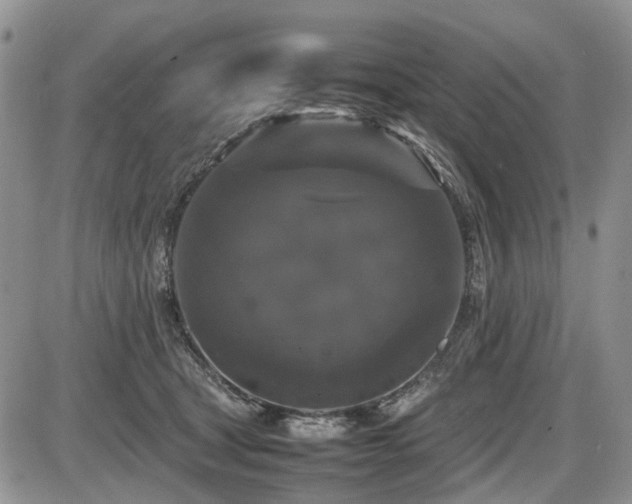 X0000086080465200703231409