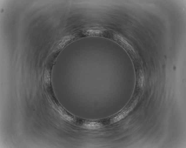 X0000086080467200703231409