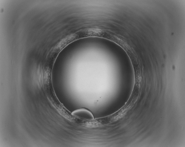 X0000086080468200703231409