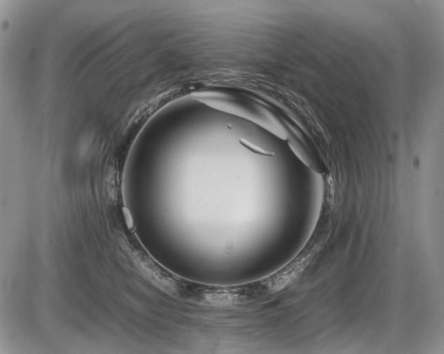 X0000086080470200703231409