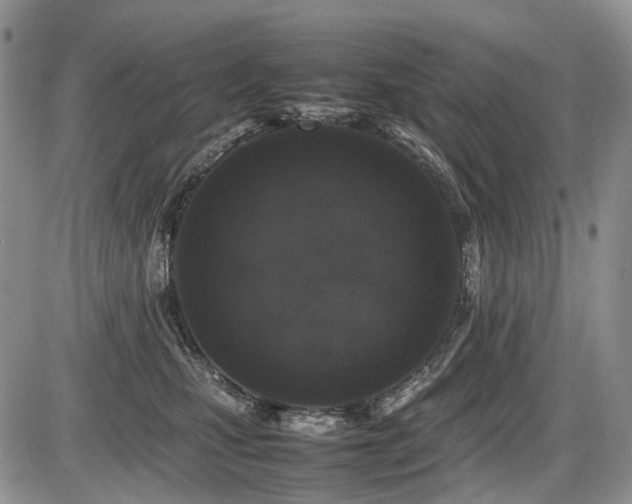 X0000086080471200703231409