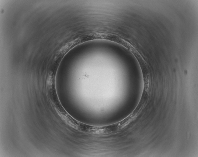 X0000086080472200703231409