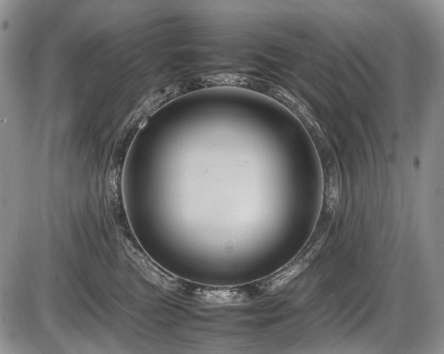 X0000086080473200703231409