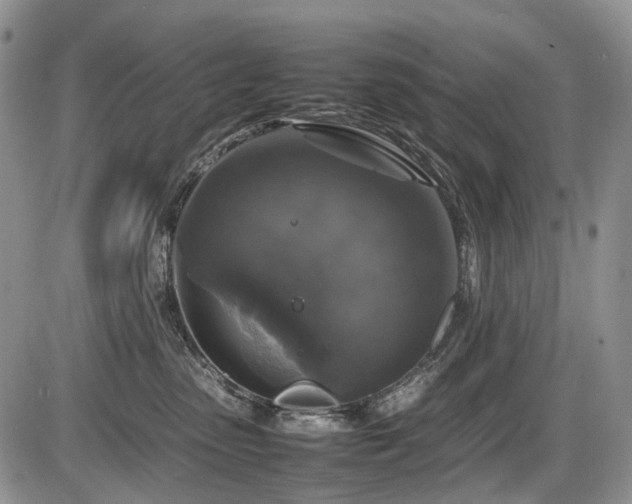 X0000086080475200703231409