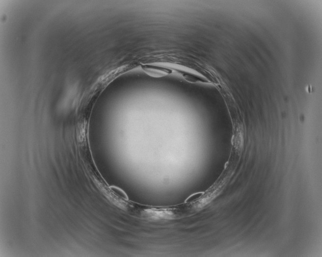 X0000086080477200703231409