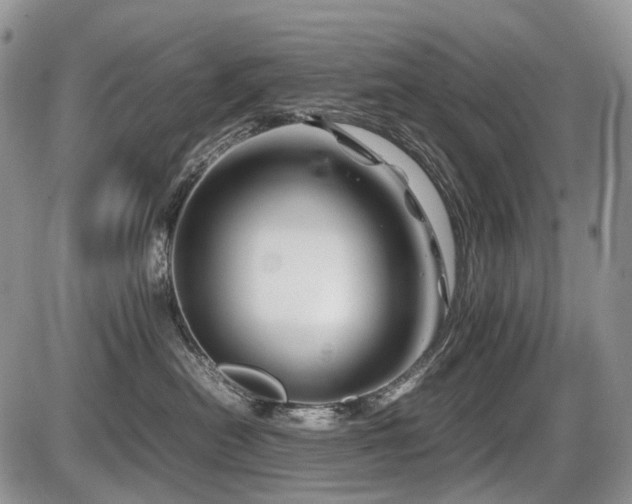 X0000086080478200703231409