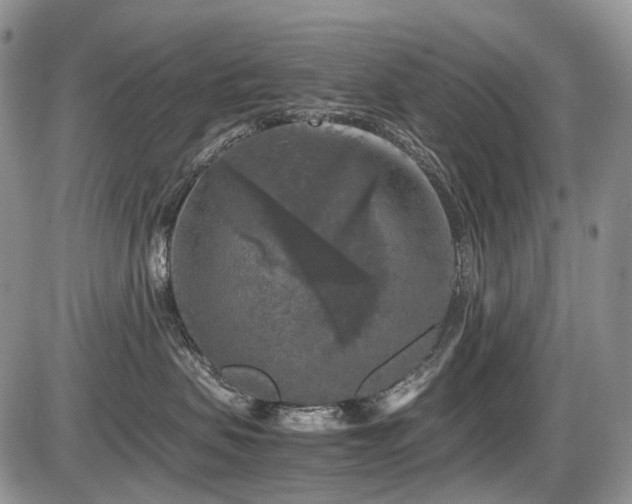 X0000086080479200703231409