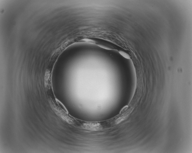 X0000086080480200703231409