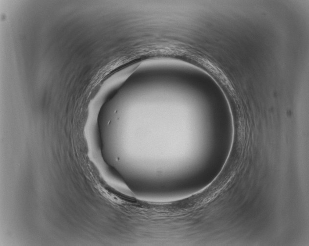 X0000086080481200703231408