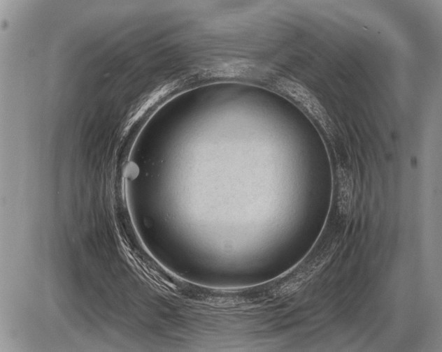 X0000086080482200703231408