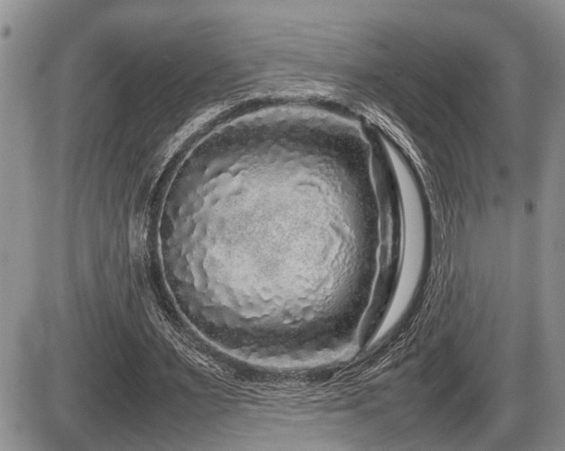 X0000086080483200703231408