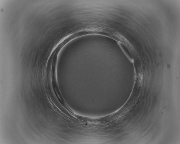 X0000086080484200703231408