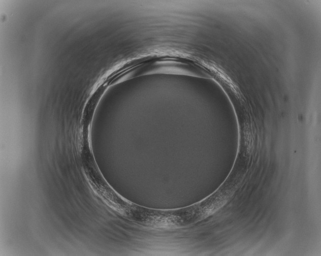 X0000086080488200703231408