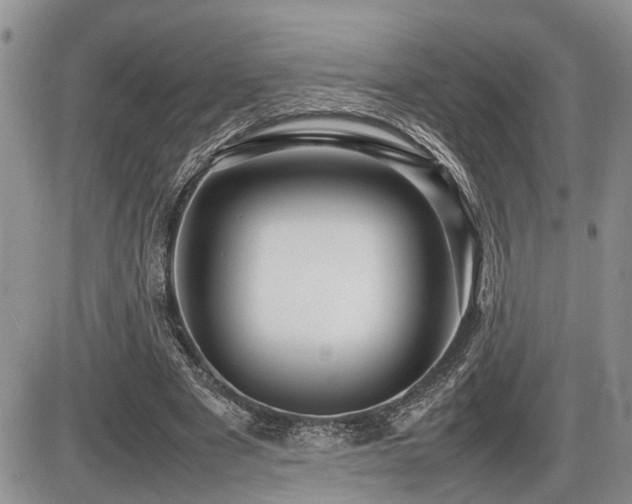 X0000086080489200703231408