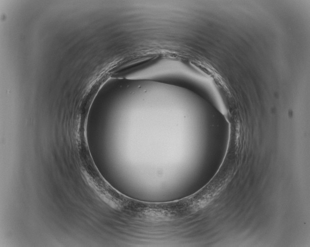 X0000086080490200703231408