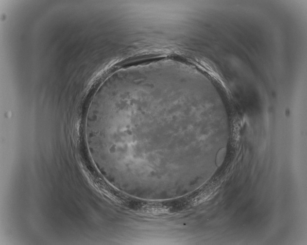 X0000086080491200703231408