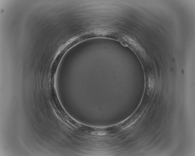 X0000086080492200703231408