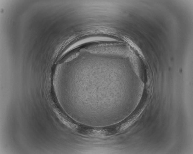 X0000086080493200703231408