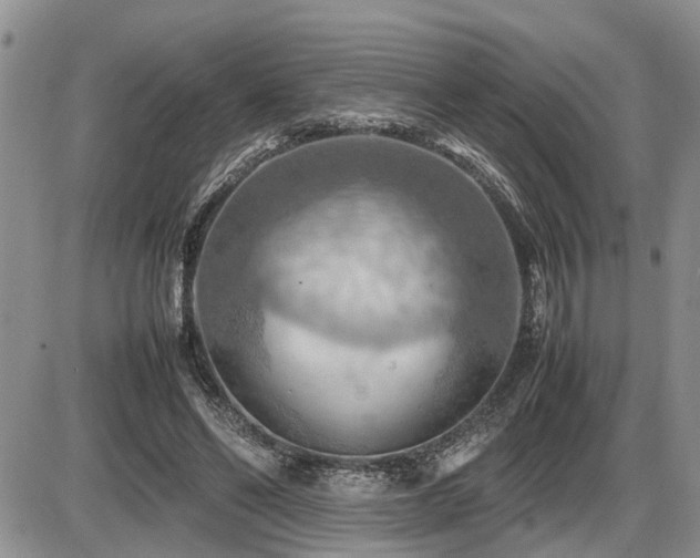 X0000086080494200703231408