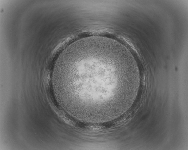 X0000086080495200703231408