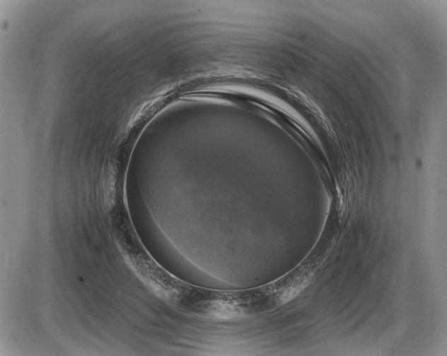 X0000086080496200703231408