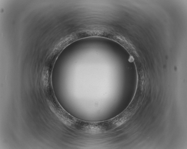 X0000086080498200703231408