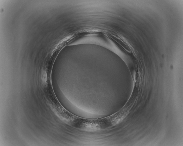 X0000086080500200703231408