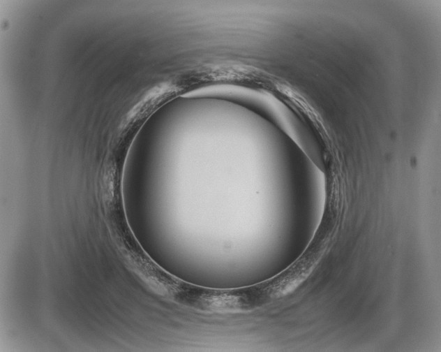 X0000086080501200703231408