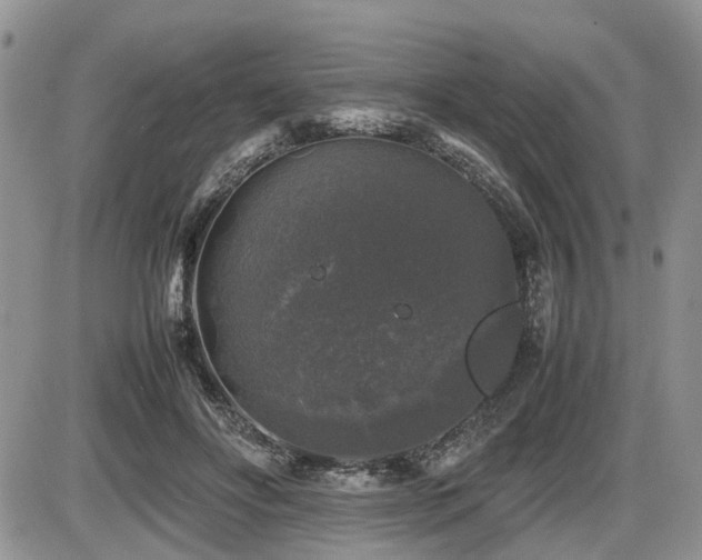 X0000086080502200703231408