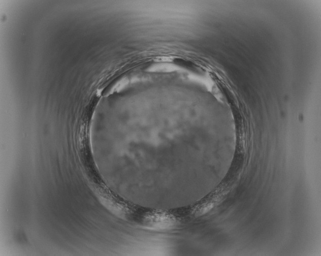 X0000086080503200703231408